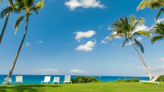 新员工转正全流程（制度+标准+评价+表格）